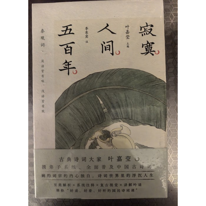 寂寞人间五百年