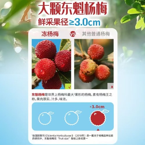 溜溜梅冻杨梅100g东魁树熟杨梅果脯