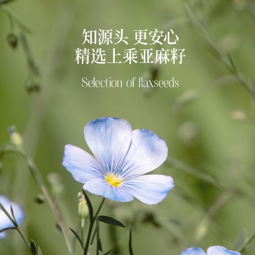 晟麦亚麻籽油-500ml*2