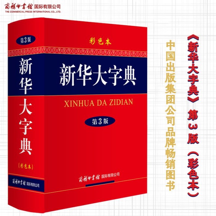 新华大字典 第3版
