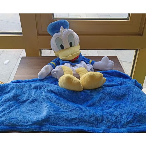 三合一创意迪士尼绒毯玩具-唐老鸭