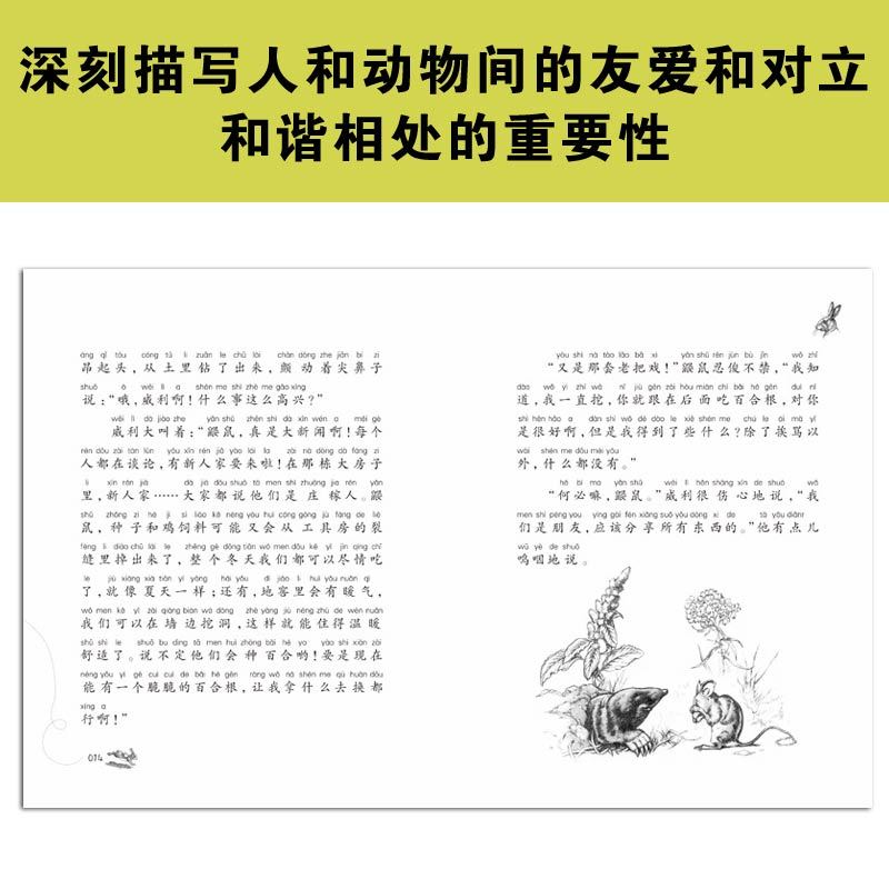 兔子坡(注音版)