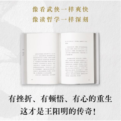 定心：王阳明传奇
