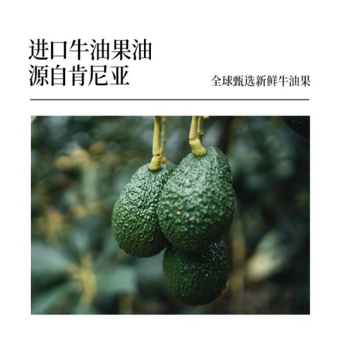 晟麦0反式牛油果油1L