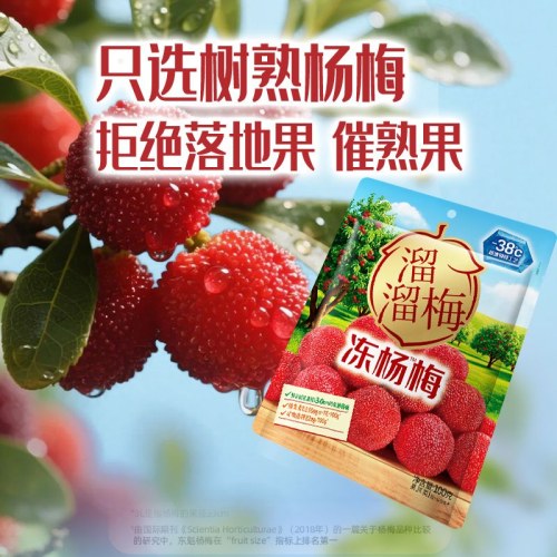 溜溜梅冻杨梅100g东魁树熟杨梅果脯