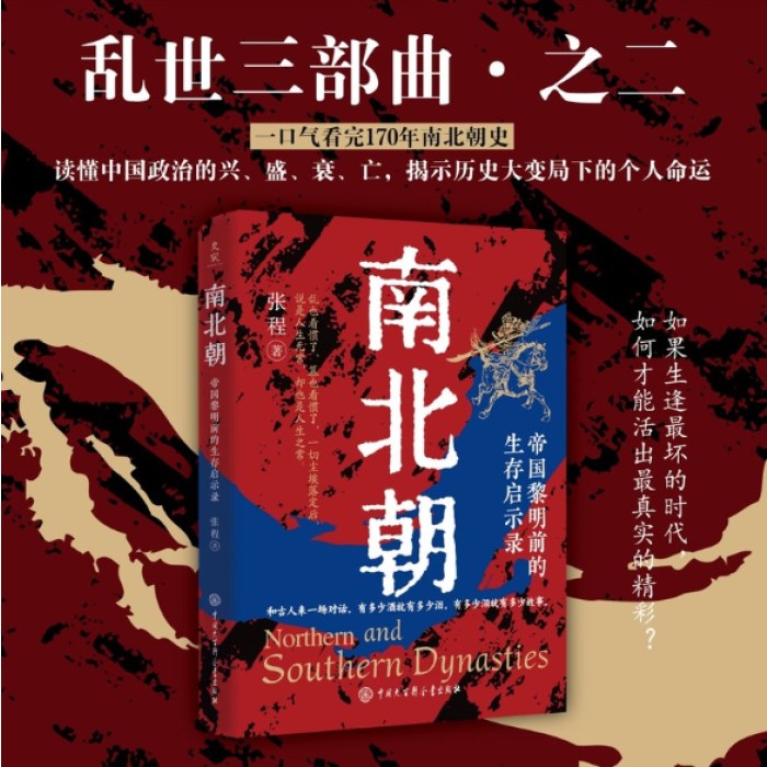 乱世三部曲之南北朝 从乱世走向太平年