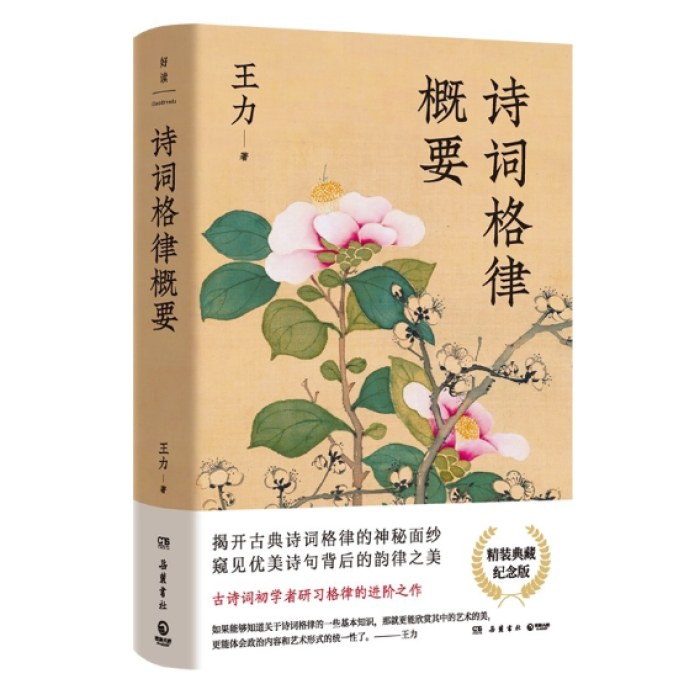 诗词格律概要：精装典藏纪念版（语言学大师王力写给古诗词初学者研习格律的进阶作）
