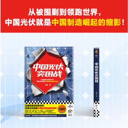 中国光伏突围战