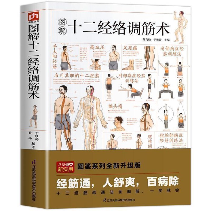 十二经络调筋术
