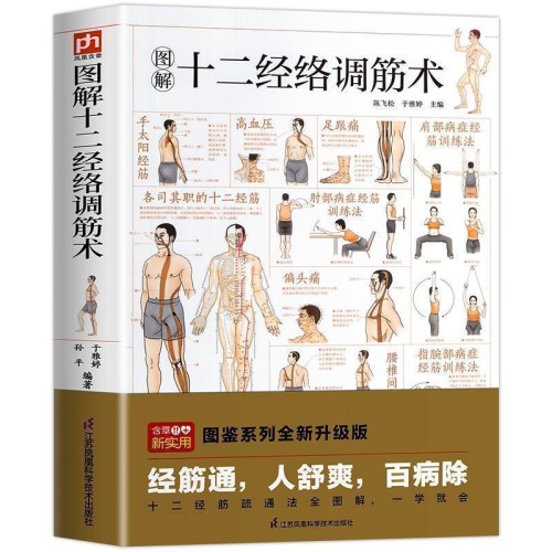 十二经络调筋术