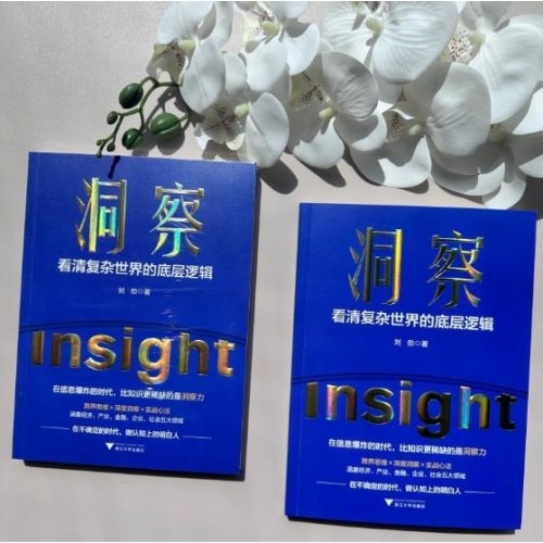 洞察 看清复杂世界的底层逻辑