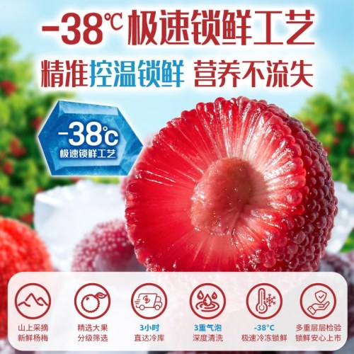 溜溜梅冻杨梅100g东魁树熟杨梅果脯