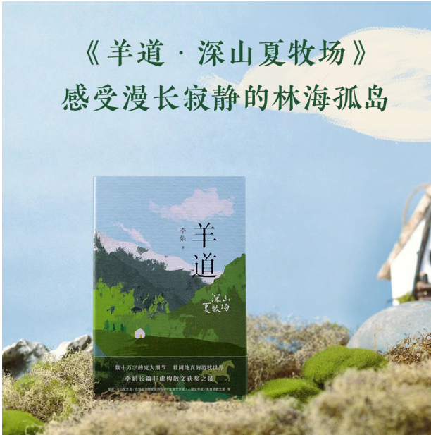 羊道·深山夏牧场
