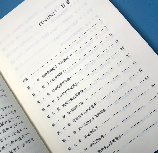 经典译林：汤姆·索亚历险记