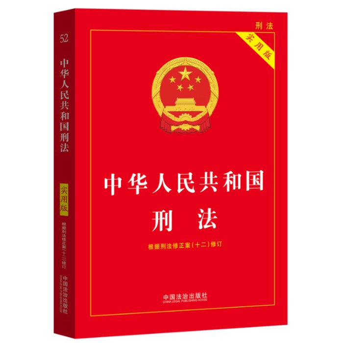 2026中华人民共和国刑法（实用版）（第十一版）