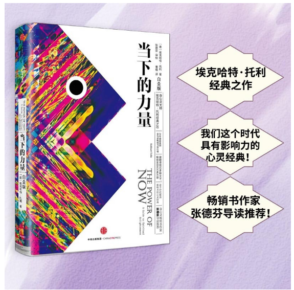 当下的力量（白金版）