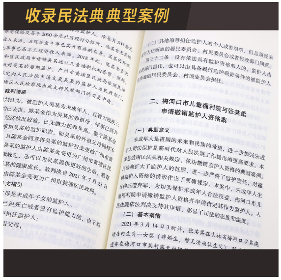 中华人民共和国民法典(大字本)(含典型案例)