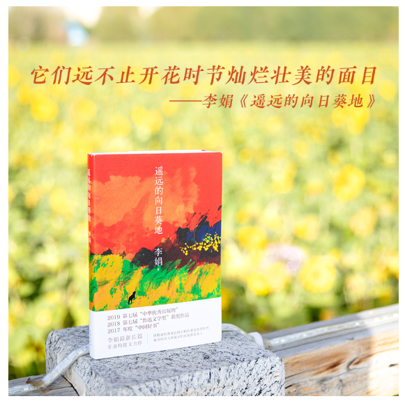 遥远的向日葵地