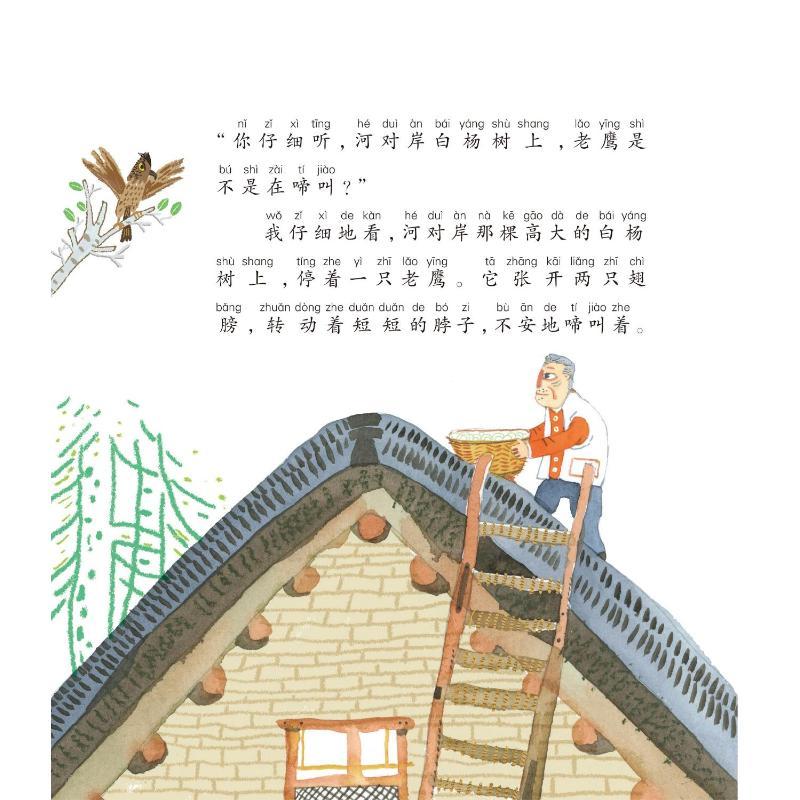 大作家的语文课：枫树上的喜鹊（注音全彩美绘）