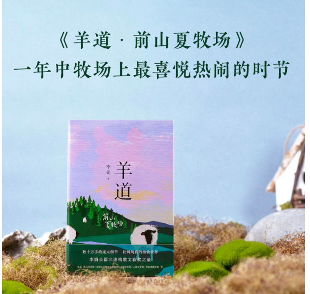 羊道·前山夏牧场