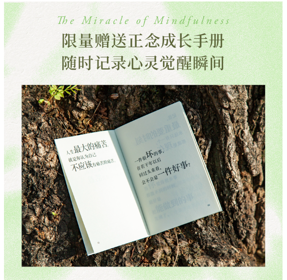 正念的奇迹