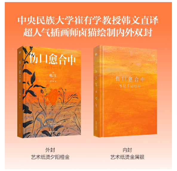 伤口愈合中