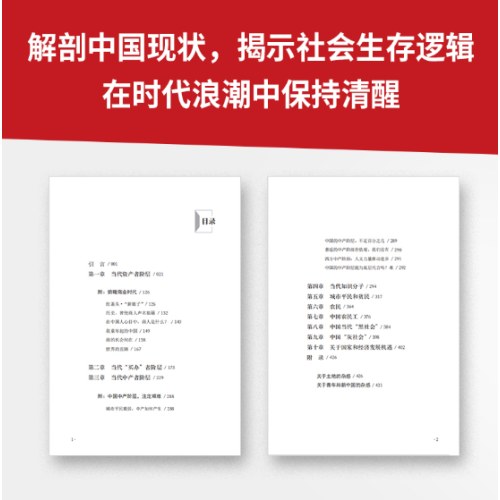 警钟系列共2册 中国社会各阶层分析 逆战：日本失去的三十年之警示