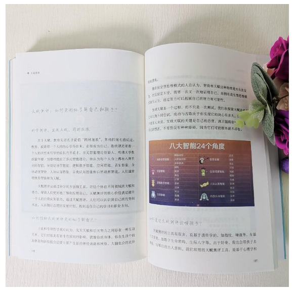 天赋教育