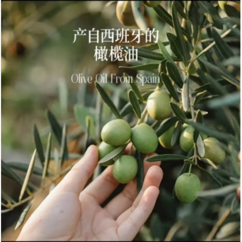 晟麦初级特榨橄榄油