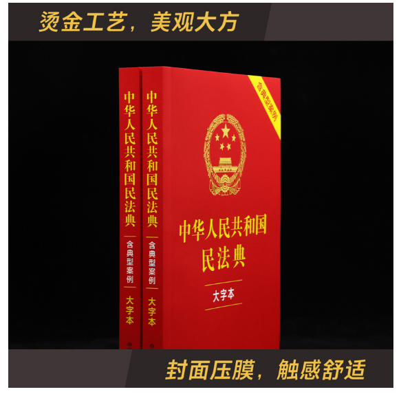 中华人民共和国民法典(大字本)(含典型案例)