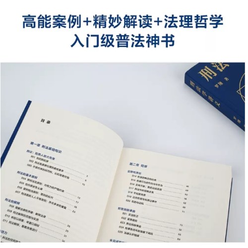 刑法学讲义