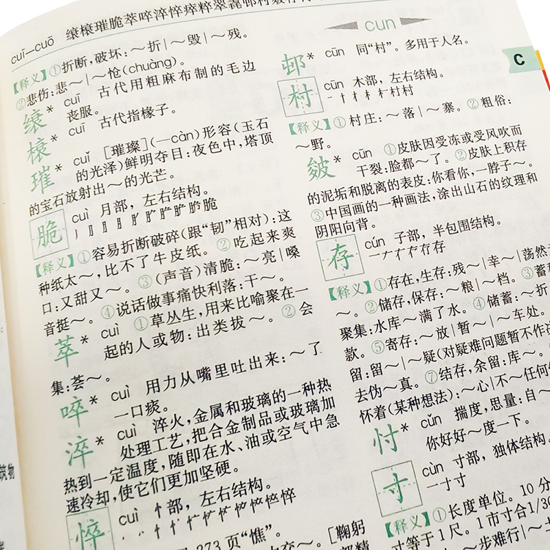 小学生多功能字典（双色版）