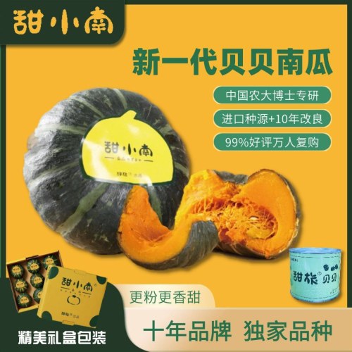 【彩箱礼盒装】甜小南小灵珠贝贝南瓜迷你果小南瓜正宗粉糯新鲜