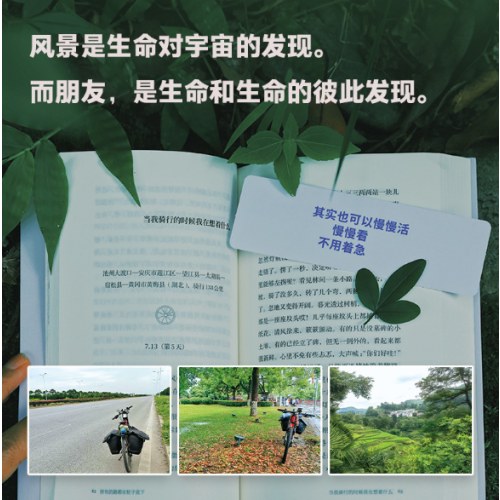 所有的路都在轮子底下