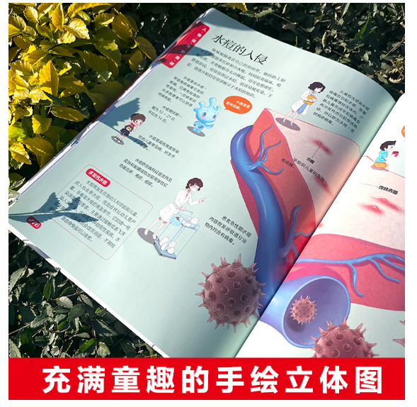 人体运转的奥秘