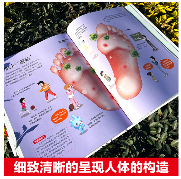 人体运转的奥秘