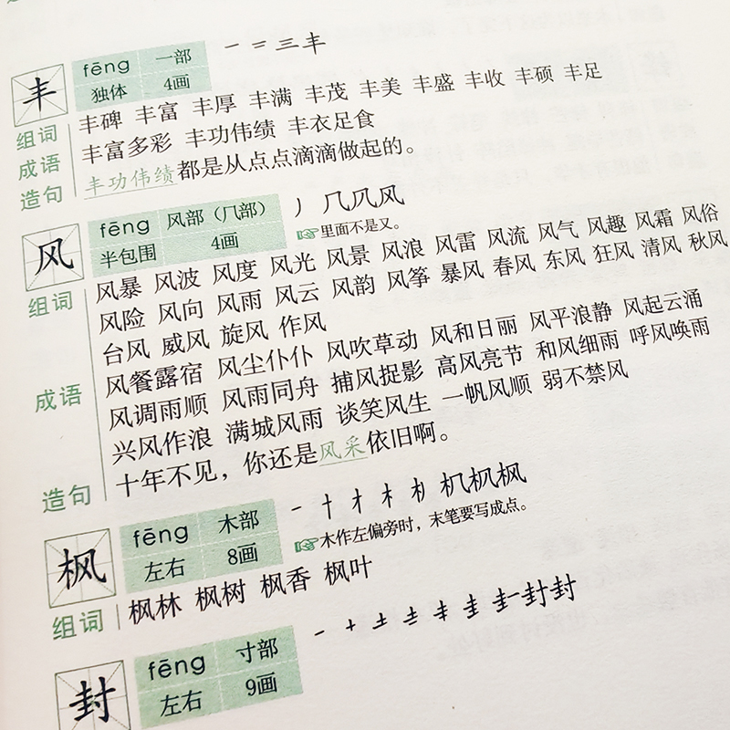 新编学生笔顺规范组词造句字典（双色版）