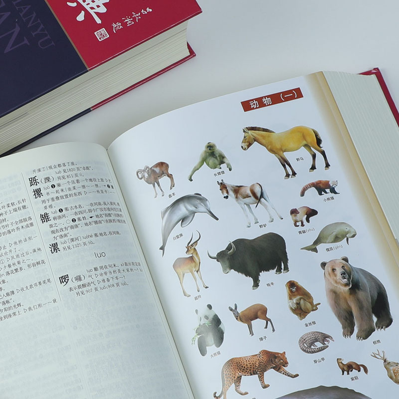现代汉语规范词典(第4版)