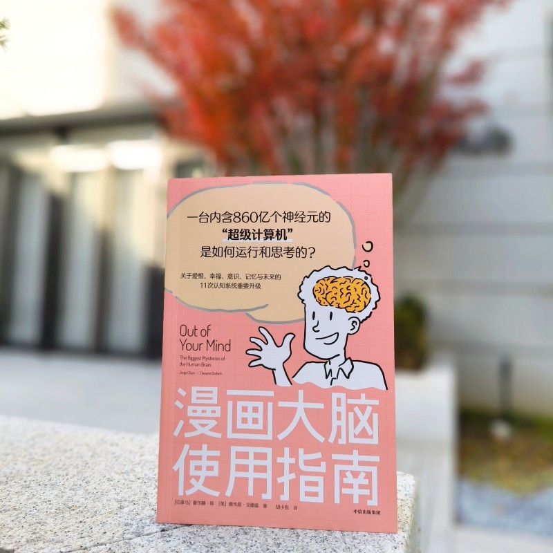 漫画大脑使用指南