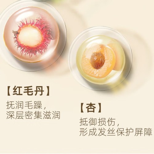 SukGarden生姜香柠檬精油洗发乳