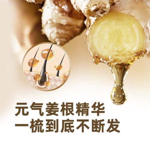 SukGarden生姜香柠檬精油洗发乳