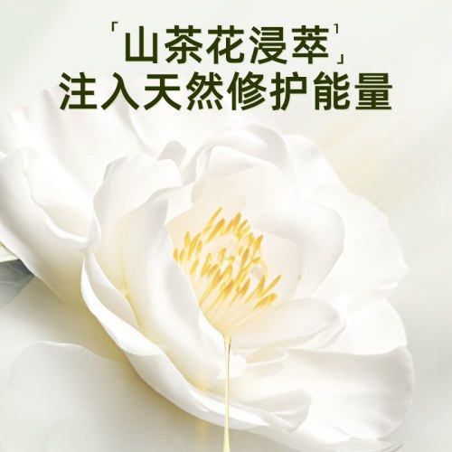 SukGarden白檀山茶精油香氛沐浴乳