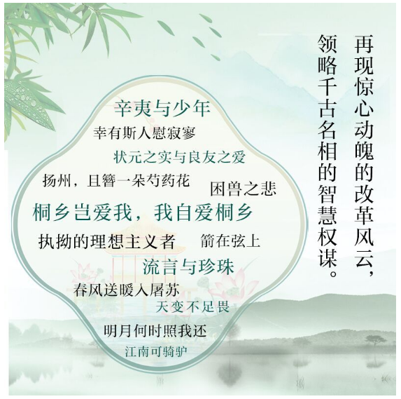 王安石传：不畏浮云遮望眼