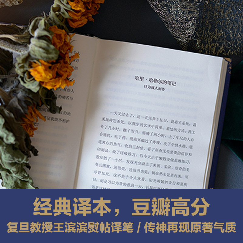 黑塞精选集荒原狼