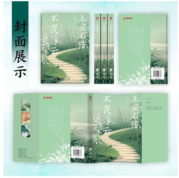王安石传：不畏浮云遮望眼