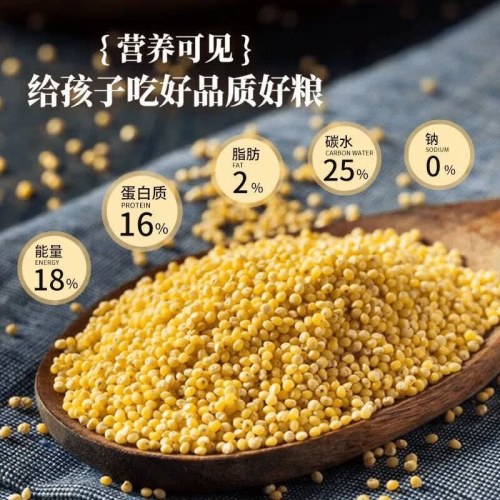 胚芽小米 颗粒饱满 干净无杂 软糯香甜