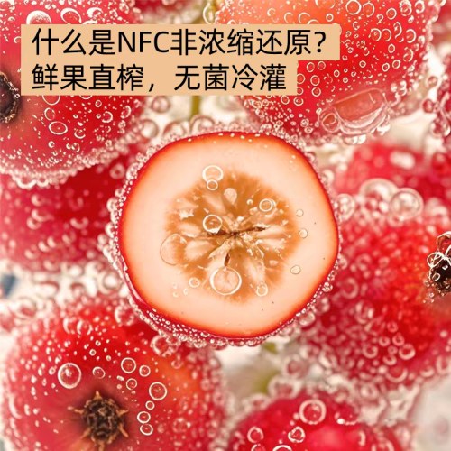 山楂树下100%山楂果汁NFC非浓缩还原230ml整箱儿童饮料
