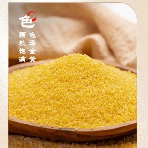 胚芽小米 颗粒饱满 干净无杂 软糯香甜