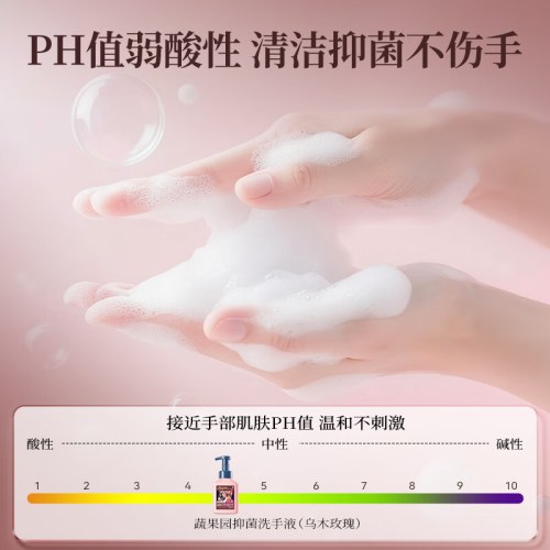 SukGarden蔬果园抑菌洗手液（乌木玫瑰）